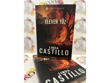 Eleven tűz Linda Castillo