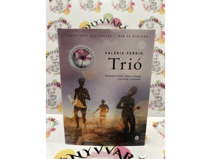 Trió Valérie Perrin