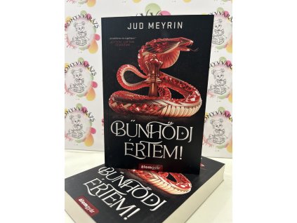 Bűnhődj értem! Jud Meyrin