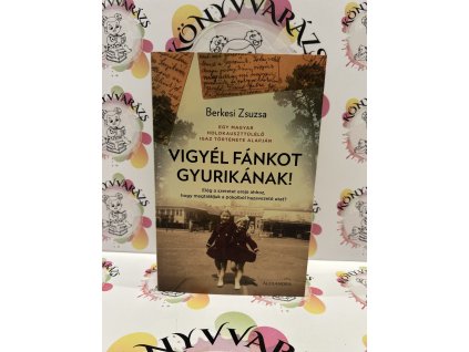 Vigyél fánkot Gyurikának! Berkesi Zsuzsa