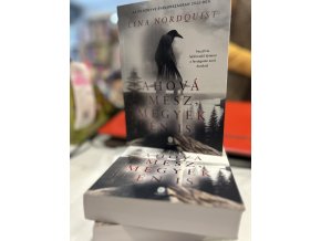 Lina Nordquist: Ahová mész, megyek én is