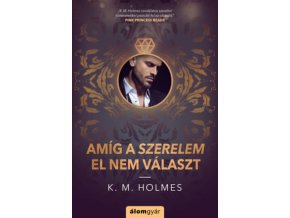 Hazel - A boldogság ára K. M. Holmes