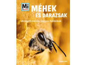 Méhek és darazsak - Aranyló méz és hegyes fullánkok - Mi Micsoda Alexandra Rigos