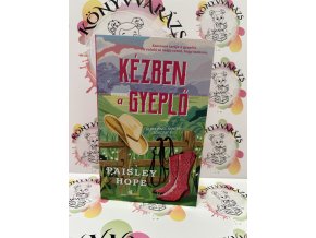 Kézben a gyeplő - Silver Pines Ranch-sorozat 1. Paisley Hope
