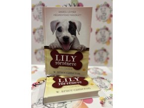 Lily története - Sikerül Lilynek megmenteni másokat? W. Bruce Cameron