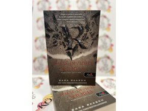 These Divided Shores - Megosztott partvidék - Folyami kalózok 2. Sarah Raasch