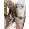 A tudás enciklopédiája - Dinoszauruszok