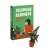 Jelenleg elérhető Madeleine Gray