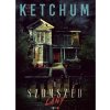 A szomszéd lány Jack Ketchum