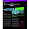 Elsüllyedt kincsek - Atlantisztól a Titanicig - Mi micsoda Florian Huber