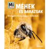 Méhek és darazsak - Aranyló méz és hegyes fullánkok - Mi Micsoda Alexandra Rigos
