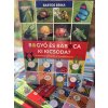 Bartos Erika:Bogyó és Babóca - Ki kicsoda? - A sorozat szereplői a természetben