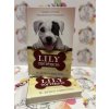 Lily története - Sikerül Lilynek megmenteni másokat? W. Bruce Cameron