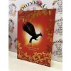 Futótűz - (Különleges kiadás) Suzanne Collins