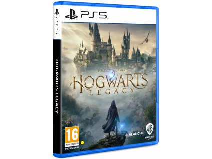 PS5 Hogwarts Legacy