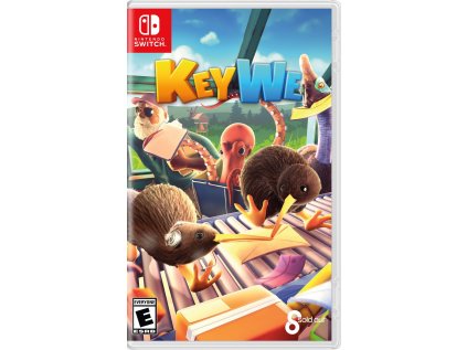 Nintendo Switch Key We