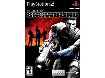 PS2 Project: Snowblind