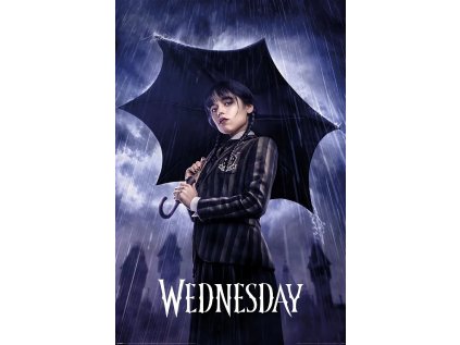 Plakát Wednesday - Downpour