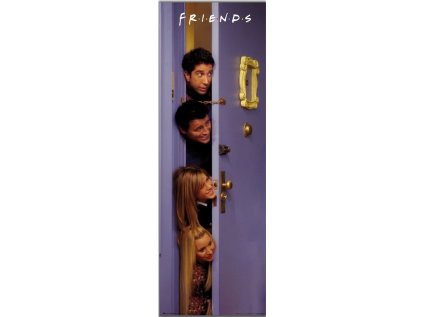 Plakát Friends - Door Poster