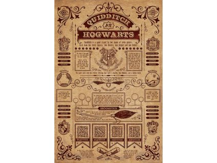 Plakát Harry Potter - Quidditch at Hogwarts