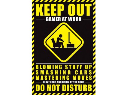 Plakát Gamer at Work