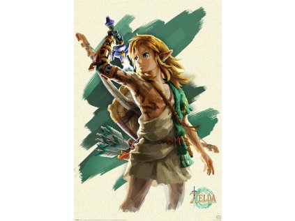 The Legend of Zelda: Tears of the Kingdom - Link Unleashed