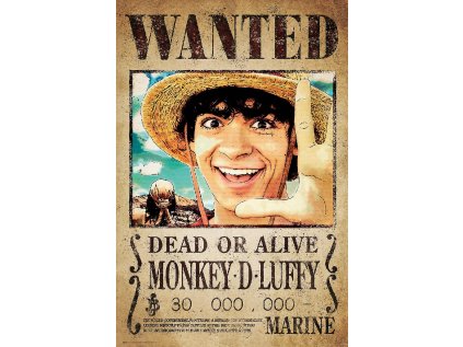 Plakát One Piece - Wanted Luffy