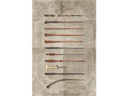 Plakát Harry Potter - The Wand Chooses the Wizard