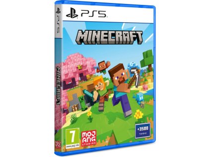PS5 Minecraft