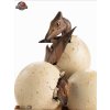 Soška Jurassic Park III ECC Elite Creature Line - Hatching Pterosaur 16 cm