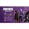 Nintendo Switch Fortnite: Darkfire & Ice Bundle