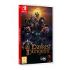 Nintendo Switch Darkest Dungeon II