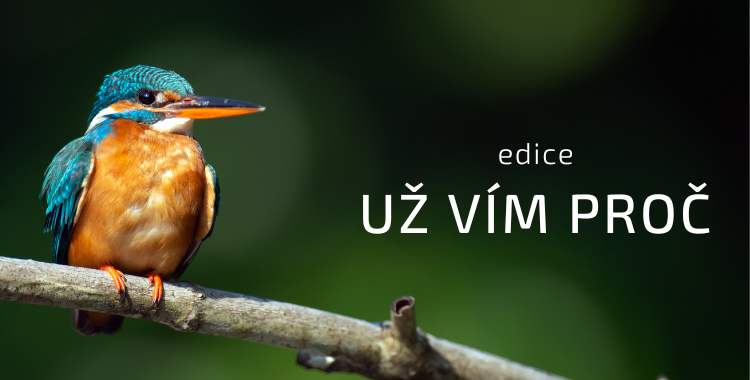 Už vím proč