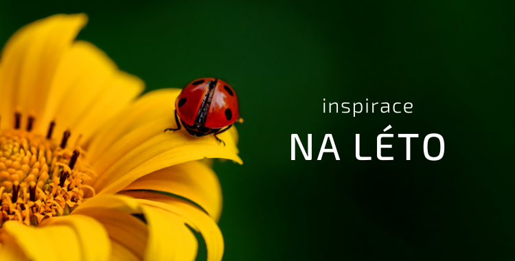 Inspirace na léto