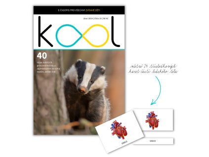 KOOL 02/2024