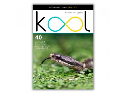 KOOL 04/2024