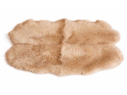 4A7BE577 15E0 4917 BC1E 7D71FE680C9F