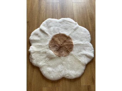 337491854 6347149348670636 5042315820637194686 n