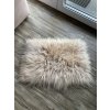 Huisdiermat beige