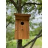 Drevená vtáčia búdka hnedá