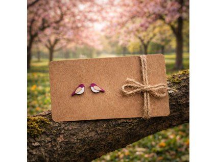 náušnice ptáček bílé bříško