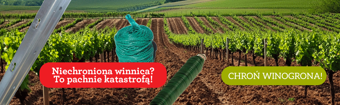Sadzenie i ochrona winnicy - Konstrukcje wspierające, tyczki i elementy ochronne – wszystko dla zdrowego wzrostu i ochrony Twoich roślin