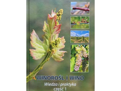 Winorośl i wino I.