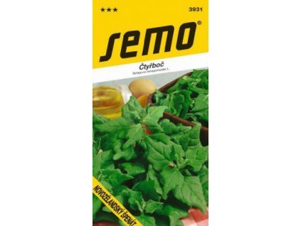 Szpinak nowozelandzki 'Czteroboczny'