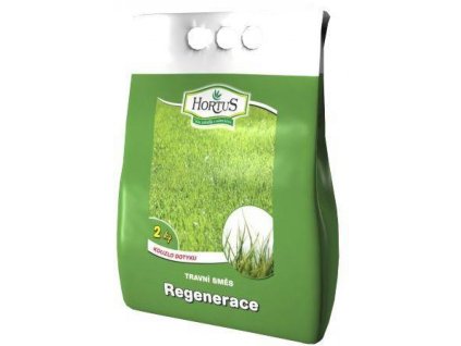 Mieszanka traw regeneracyjnych 2 kg Hortus