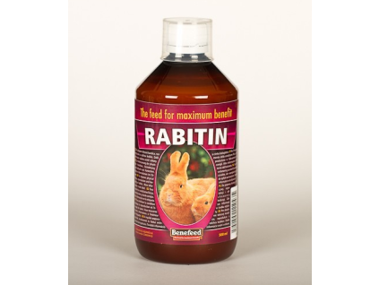 16745 rabitin kralik