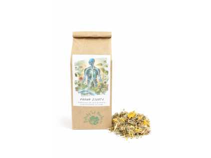 19836 8bfb65d6 8d5d 405a 9949 185405f9f926