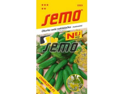 Snímek obrazovky 2026 01 13 104618