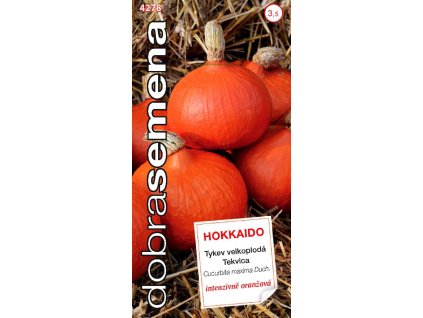 Dynia - HOKKAIDO
