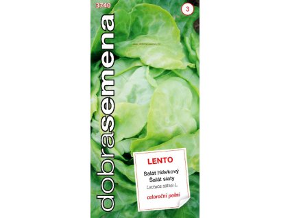 Sałata - LENTO